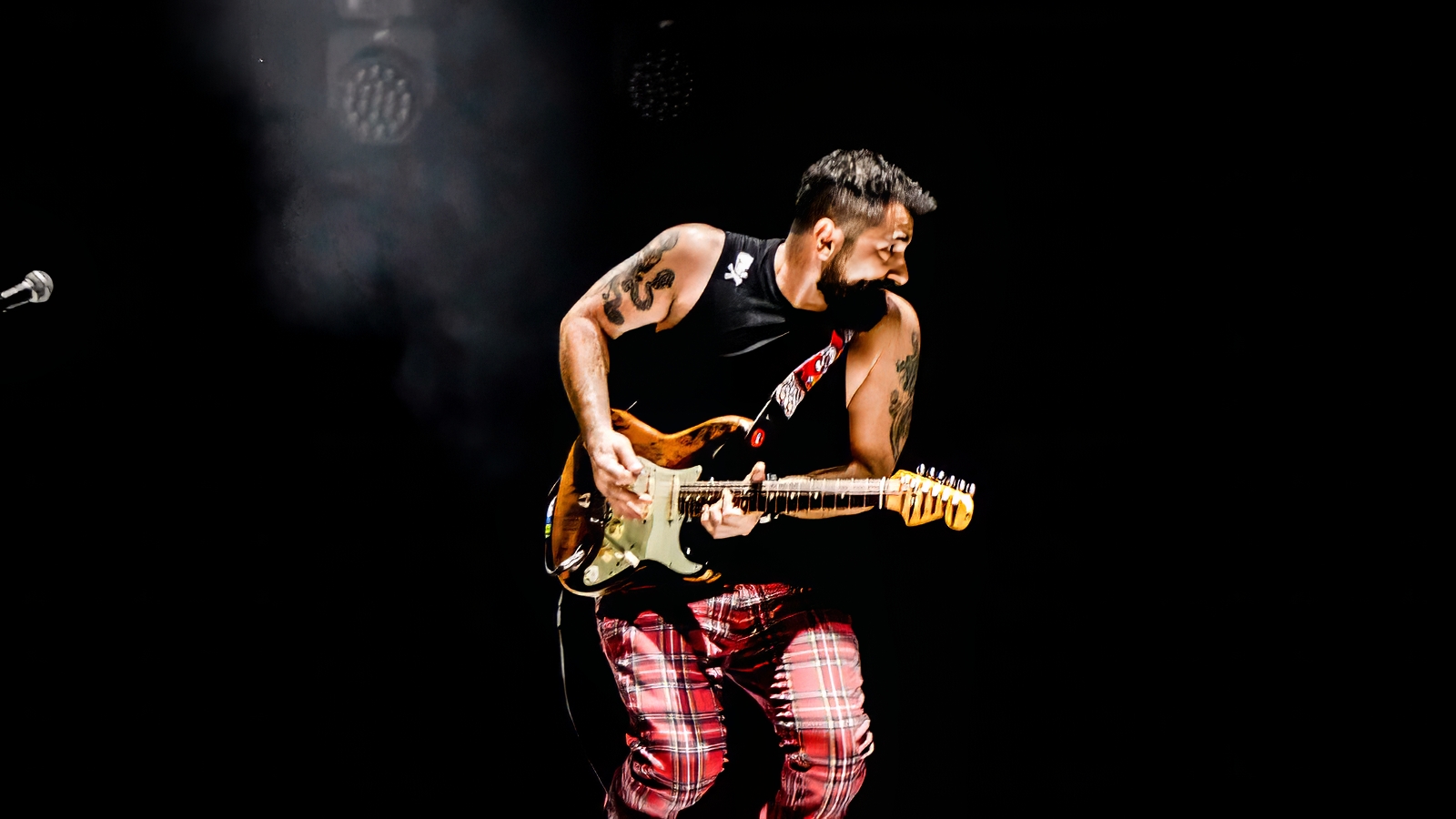 Bull Funk Zoo Bull Funk Zoo