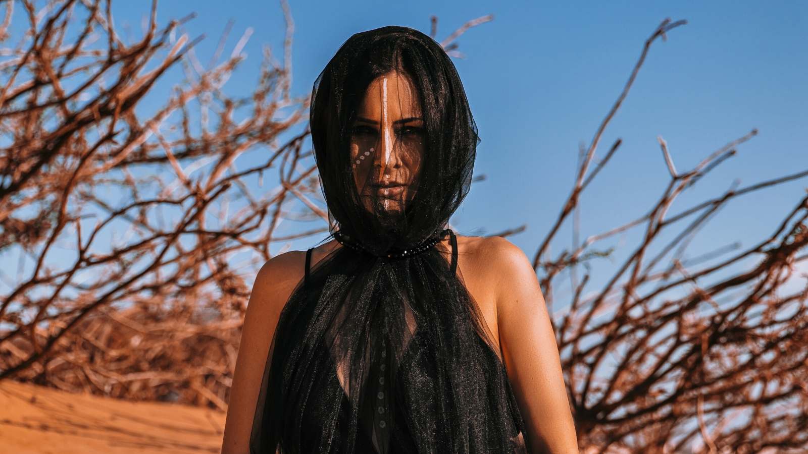 دي جي ماري جنيف