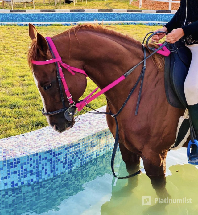 Alfarisa Club in Riyadh : Galerie de photos 3yyg43 Alfarisa Club in Riyadh : Galerie de photos 3yyg43