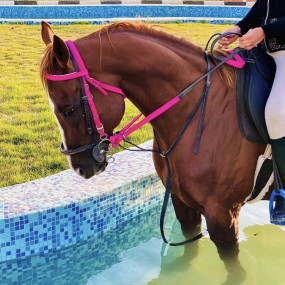 Alfarisa Club in Riyadh : Galerie de photos 3yyg43