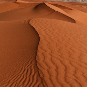 Quad Biking in Riyadh: Gallery Photo 38rq6z Quad Biking in Riyadh: Gallery Photo 38rq6z