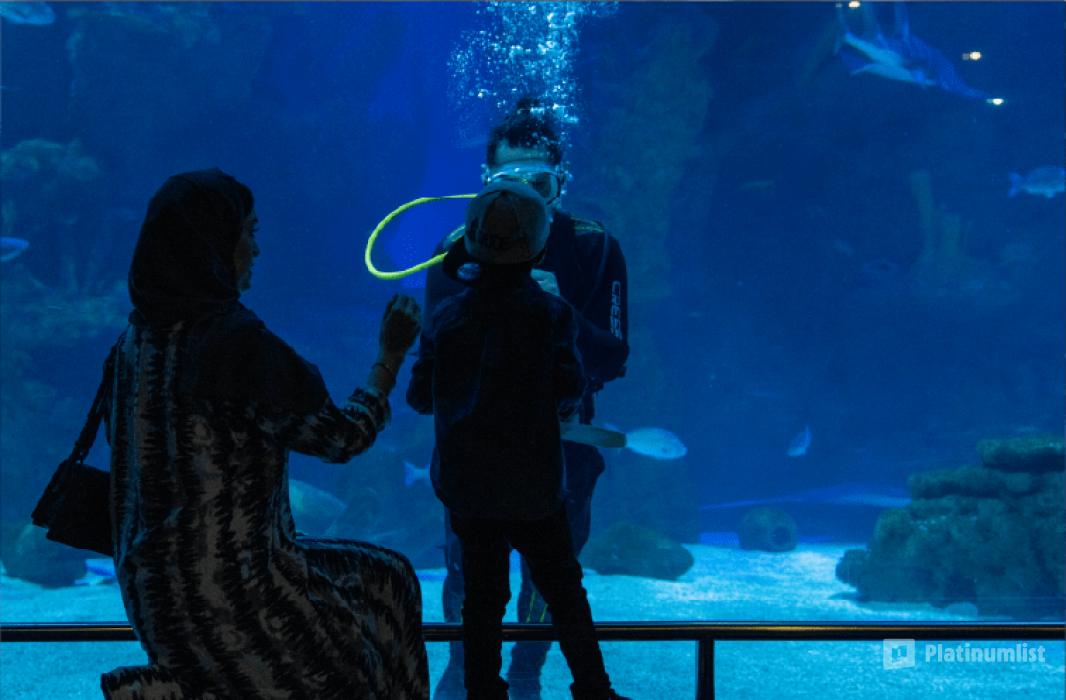 n62oyz استديو الصور :جدة في فقيه أكواريوم