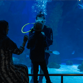 n62oyz استديو الصور :جدة في فقيه أكواريوم