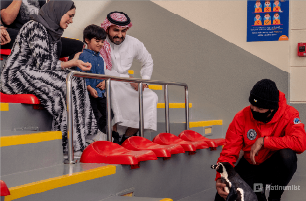 Fakieh Aquarium in Jeddah: Gallery Photo n2y1kz