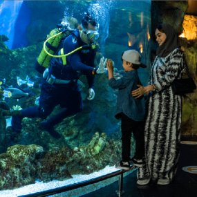 3dedkz استديو الصور :جدة في فقيه أكواريوم