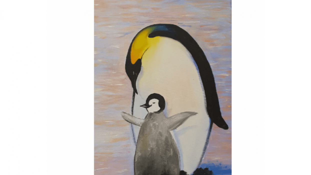 n0p663 استديو الصور :دبي في Safe Haven - Counter Culture Cafe