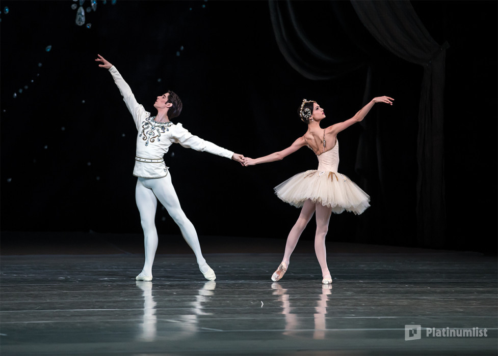 Ballet Under The Stars 2019 in Dubai: Gallery Photo 3e789n Ballet Under The Stars 2019 in Dubai: Gallery Photo 3e789n