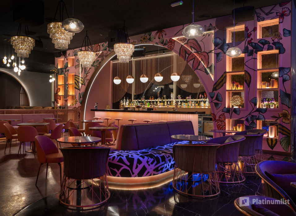 First Cocktail Festival in Dubai in Dubai: Gallery Photo 3r5j2g