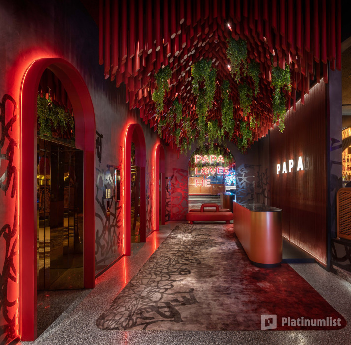 3b8e5p استديو الصور :دبي في فيرست كوكتيل فستيفال في دبي