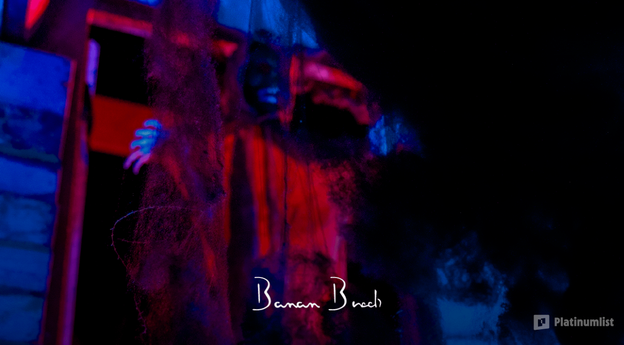 Nas Nas Halloween Pool Party at Banan Beach in RAK : Galerie de photos 35ddog