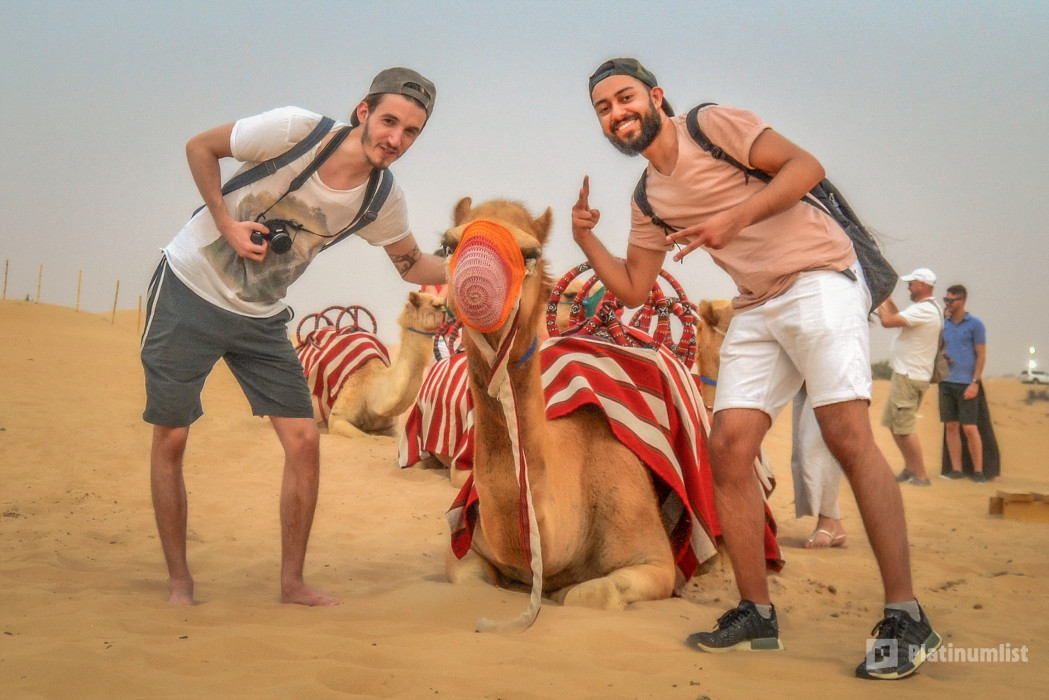 Morning Desert Safari Dubai with Dune Bashing, Sand Boarding & Camel Ride in Dubai : Galerie de photos zv5kb4