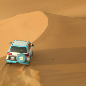 Photo from رحلات السفاري الصحراوية الصباحية في دبي: ركوب الكثبان الرملية والتزلج على الرمال وركوب الجمال in دبي: Gallery Photo nk5rmv