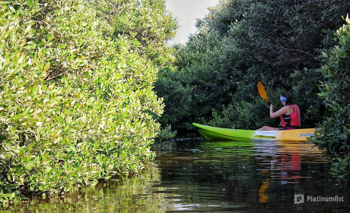 Al Zorah Mangrove Guided Kayak Tour in Ajman : Galerie de photos zw6kbn Al Zorah Mangrove Guided Kayak Tour in Ajman : Galerie de photos zw6kbn