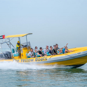 75-minute Yas Island Abu Dhabi Sightseeing Boat Tour in Abu Dhabi: Gallery Photo 3jkbvr 75-minute Yas Island Abu Dhabi Sightseeing Boat Tour in Abu Dhabi: Gallery Photo 3jkbvr