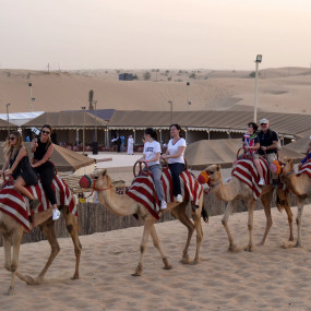 Photo de Premium Red Dunes Safari with Camel Ride & 3 Cuisines at Al Khayma Camp dans Dubai : Galerie Photo zv545b