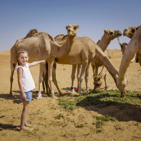 Photo de Premium Red Dunes Safari with Camel Ride & 3 Cuisines at Al Khayma Camp dans Dubai : Galerie Photo 38vkvj