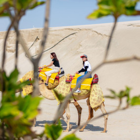 Photo de Day Pass at Al Majles Resort with Lunch/Dinner dans Doha : Galerie Photo 3dkx5k