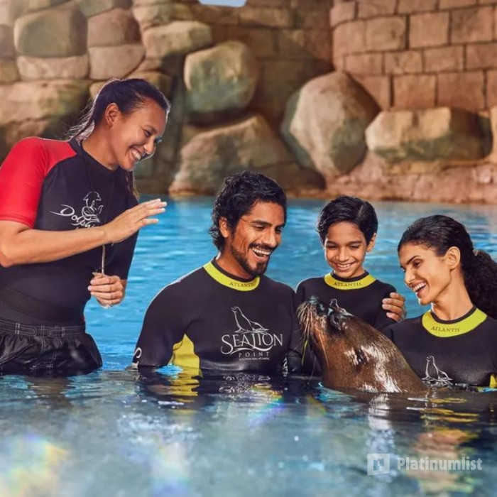 Sea Lion Experiences at Atlantis The Palm in Dubai : Galerie de photos 34k9b8 Sea Lion Experiences at Atlantis The Palm in Dubai : Galerie de photos 34k9b8