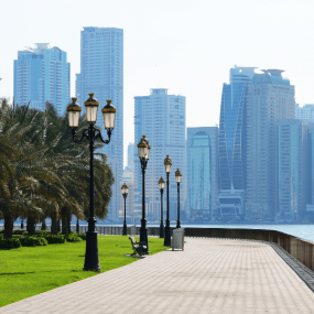 Photo from Sharjah Boat Tours in Sharjah: Gallery Photo n289m0