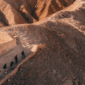 Jebel Buhais Tour in Sharjah: Gallery Photo 38vo76