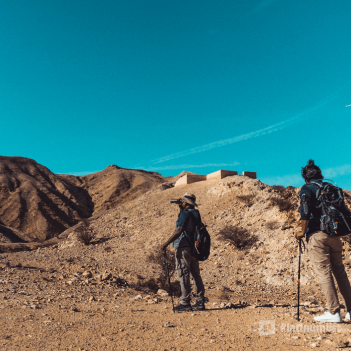 Jebel Buhais Tour in Sharjah : Galerie de photos 3pe74y