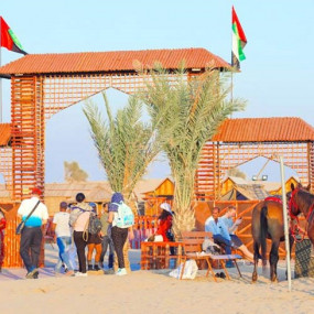 Dubai Red Dunes Desert Safari, Dune Bashing, Shows And  BBQ Dinner in Dubai: Gallery Photo 3e5dbw