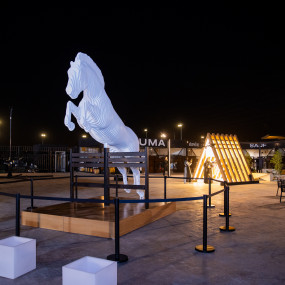 Final Jahez League in Riyadh in Riyadh: Gallery Photo z9198m Final Jahez League in Riyadh in Riyadh: Gallery Photo z9198m