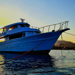 Sunset tour In Jeddah in Jeddah: Gallery Photo 38vb4j