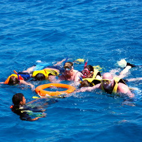 Half-day Snorkeling Boat trip with lunch and drinks from Sharm El Sheikh in Sharm El Sheikh: Gallery Photo zgkp48