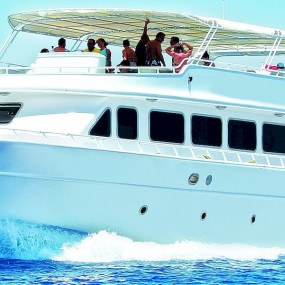 Half-day Snorkeling Boat trip with lunch and drinks from Sharm El Sheikh in Sharm El Sheikh: Gallery Photo 38v9yj
