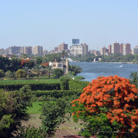 Photo de Full-day tour of Giza Pyramids, Sphinx, and Egyptian Museum with lunch from Cairo dans Cairo : Galerie Photo n6bd59