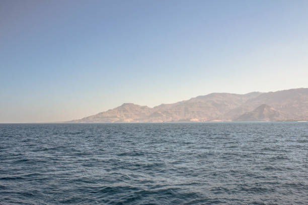 Photo de Ain Sokhna Full-day Snorkeling Cruise and Submarine with Private Return Transfer From Cairo dans Cairo : Galerie Photo 38v9pr