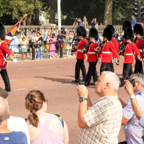 Visit Kew Gardens & 3 Hour Westminster Walking Tour in London: Gallery Photo n28b9j