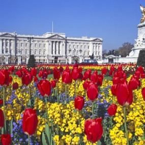 Photo from Visit Kew Gardens & 3 Hour Westminster Walking Tour in London: Gallery Photo 3e5r0m