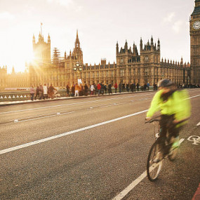 Photo from Visit Kew Gardens & 3 Hour Westminster Walking Tour in London: Gallery Photo 34kb78