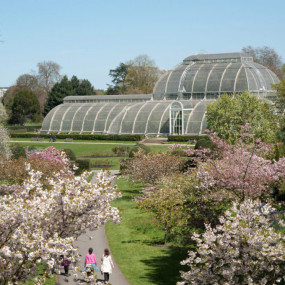Photo from Visit Kew Gardens & 3 Hour Westminster Walking Tour in London: Gallery Photo zw5w0e