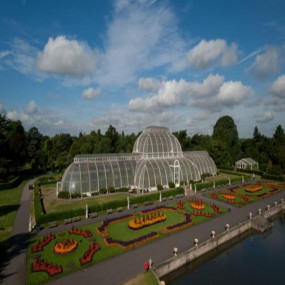 Photo from Visit Kew Gardens & 3 Hour Westminster Walking Tour in London: Gallery Photo z91d97