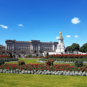 3qb256 استديو الصور :لندن في جولة مشي: تذوق 8 أطعمة إنجليزية وشاهد أكثر من 30 معلمًا سياحيًا