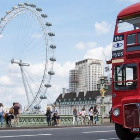 Westminster Walking Tour & London Eye Ticket in London: Gallery Photo 3b8rdj