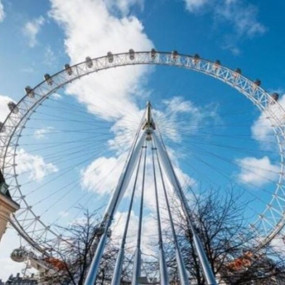 Photo de Westminster Walking Tour & London Eye Ticket dans London : Galerie Photo z91d78