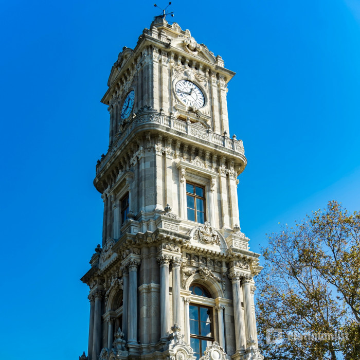 Dolmabahce Palace Skip-the-Line Tickets with Audio Guide in Istanbul: Gallery Photo 3pe0j0
