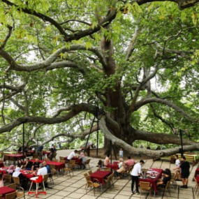 Photo from جولة نهارية في إسطنبول: بورصة وجبل أولوداغ مع وجبة غداء in إسطنبول: Gallery Photo 3jk99r