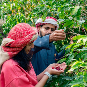 Hike with a local coffee farmer in Al Bahah: Gallery Photo 38ved6