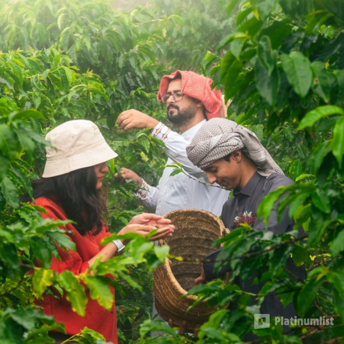 From Arabica to Arabian – Coffee Experience at a local farm in Al Bahah: Gallery Photo 3pe5px