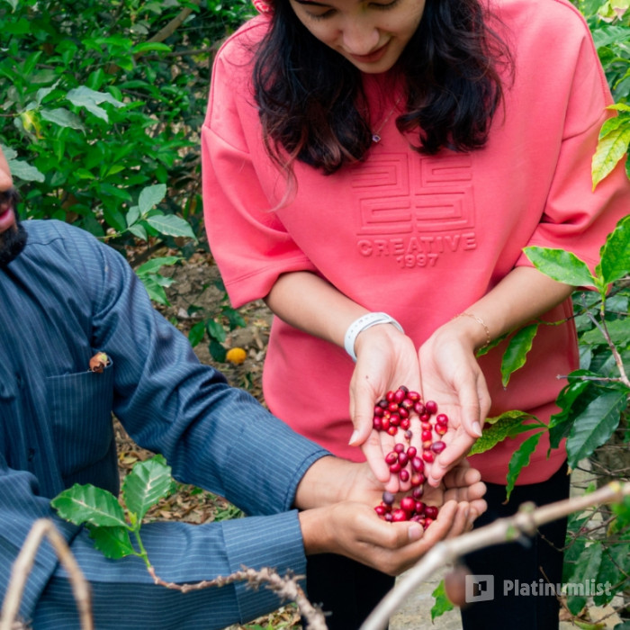 From Arabica to Arabian – Coffee Experience at a local farm in Al Bahah: Gallery Photo zook8y From Arabica to Arabian – Coffee Experience at a local farm in Al Bahah: Gallery Photo zook8y