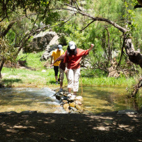 In Hike to the Ain Jamal Waterfall in Al Bahah: Gallery Photo 3qb648