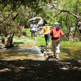 In Hike to the Ain Jamal Waterfall in Al Bahah: Gallery Photo 3y5j81