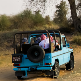 Photo de Dubai: Morning Heritage Safari by Vintage G-Class & Al Marmoom Oasis dans Dubai : Galerie Photo zw5oyp