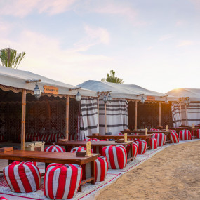 Dubai: Quad Bike Safari, Camel Ride and Refreshments in Dubai : Galerie de photos zoo2r0