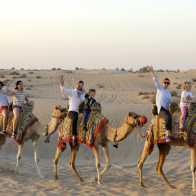 Photo from دبي: رحلات السفاري بالدراجات الرباعية وركوب الجمال والمرطبات in دبي: Gallery Photo 3y5x6r